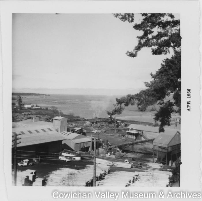 Mayo Lmbr Co sawmill