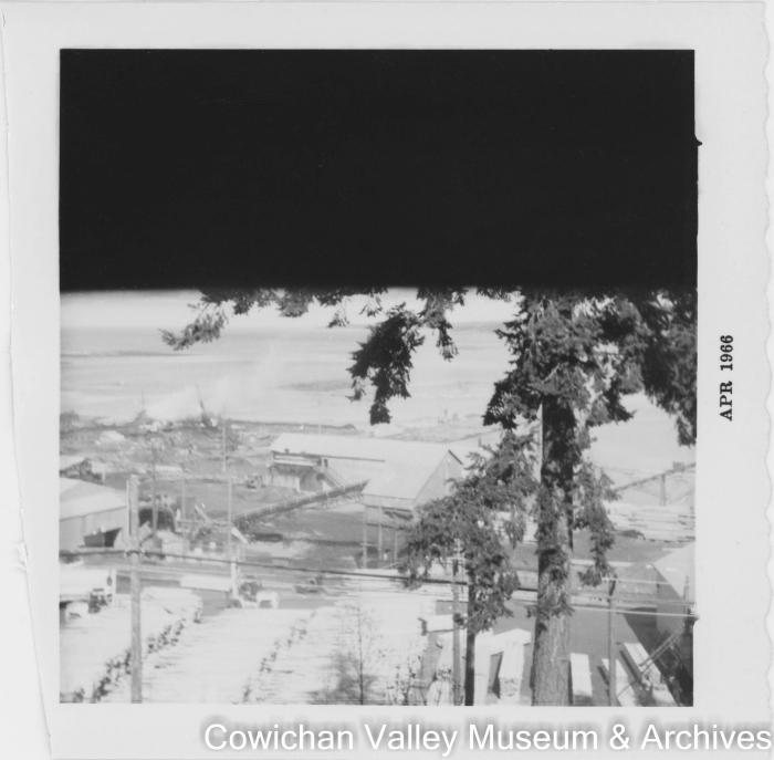 Nanaimo mill 1964-1984