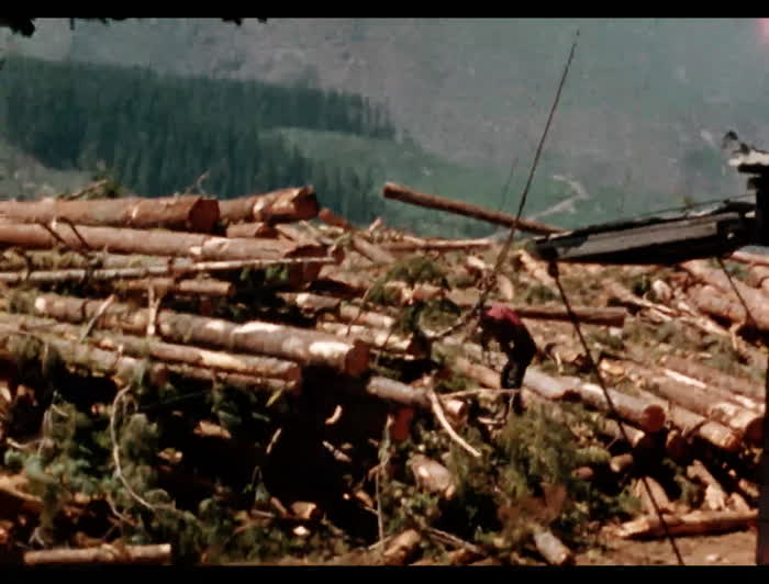 Summit logging