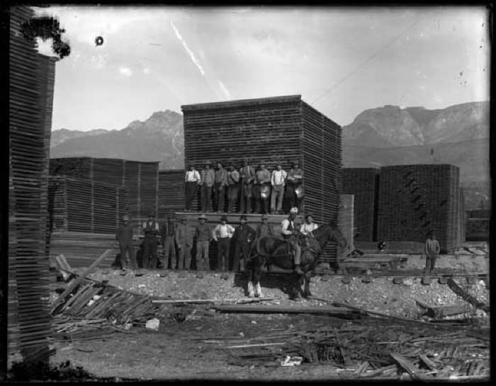 Lumber being air dried