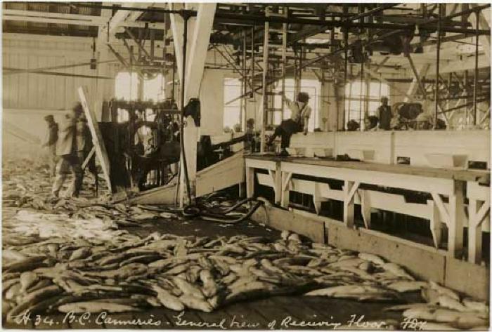 Imperial Cannery - interior