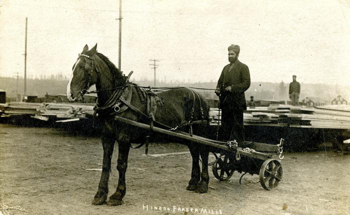 [Portrait of a Sikh millworker at the Fraser Mills]