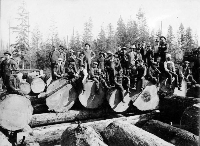 [Photo of South Asian, Japanese and Caucasian workers at Seymour Lumber Company in North Vancouver]