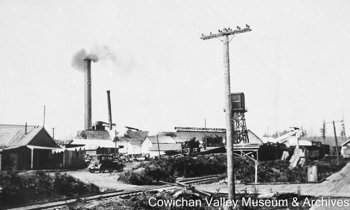[Mayo Lumber Company mill]