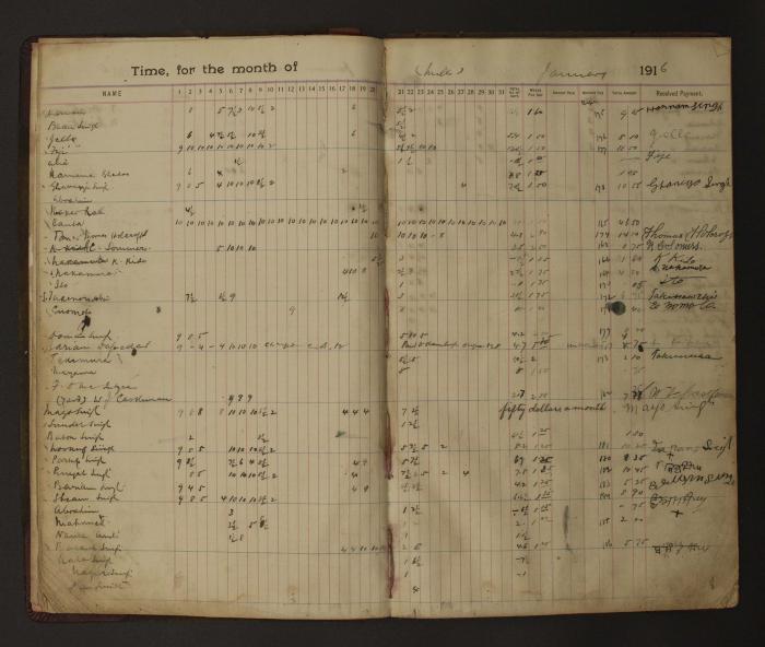 [Pages from Mayo Lumber Company monthly payroll book, 1915-1917]