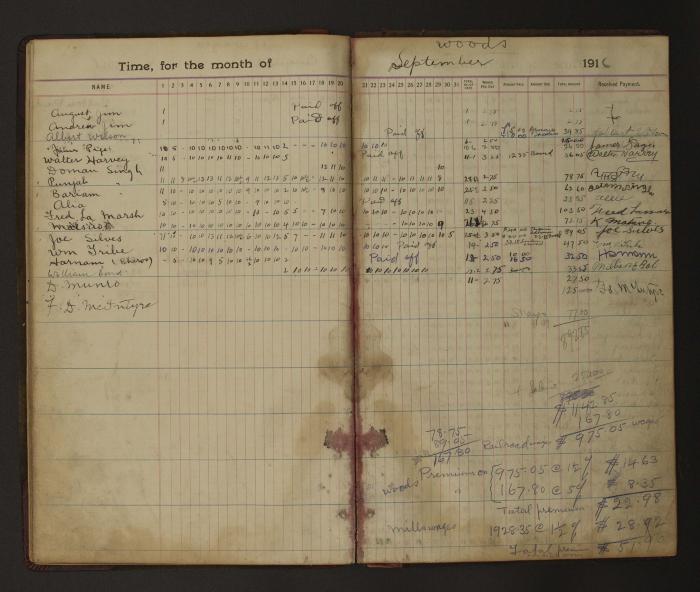 [Pages from Mayo Lumber Company monthly payroll book, 1915-1917]